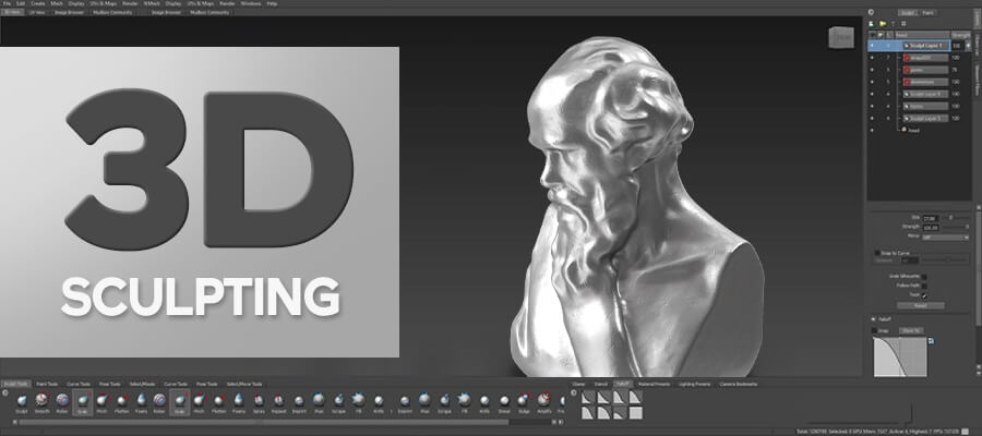 3D Digital Sculpting
