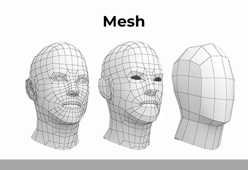 Mesh