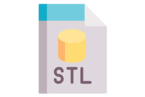 STL Format
